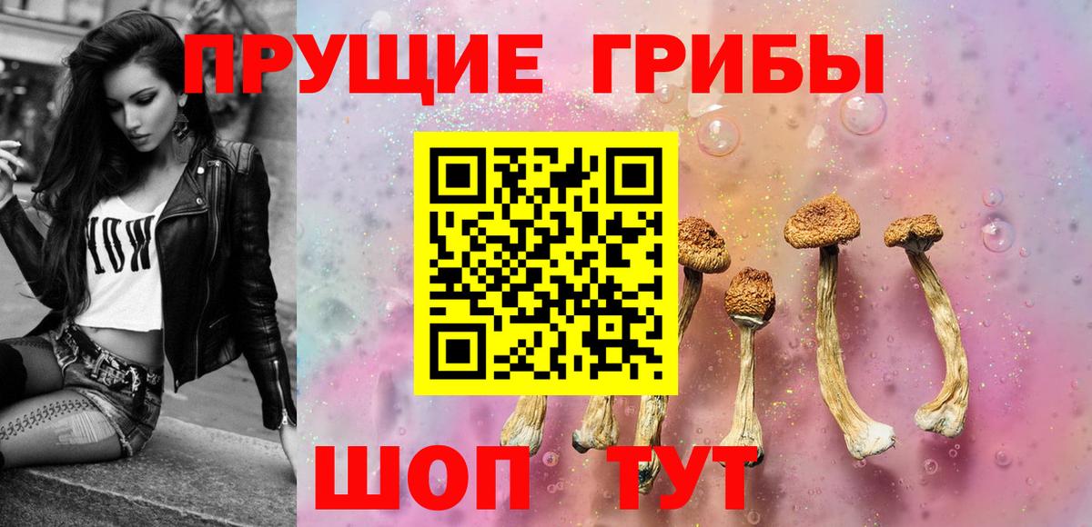 Шарыпово  Псилоцибиновые грибы Cubensis  Вход с VPN 